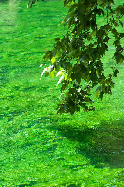 Fontaine de Vaucluse