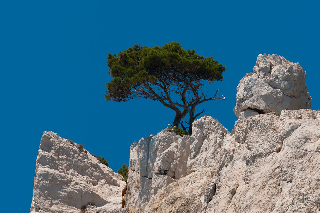 Calanque