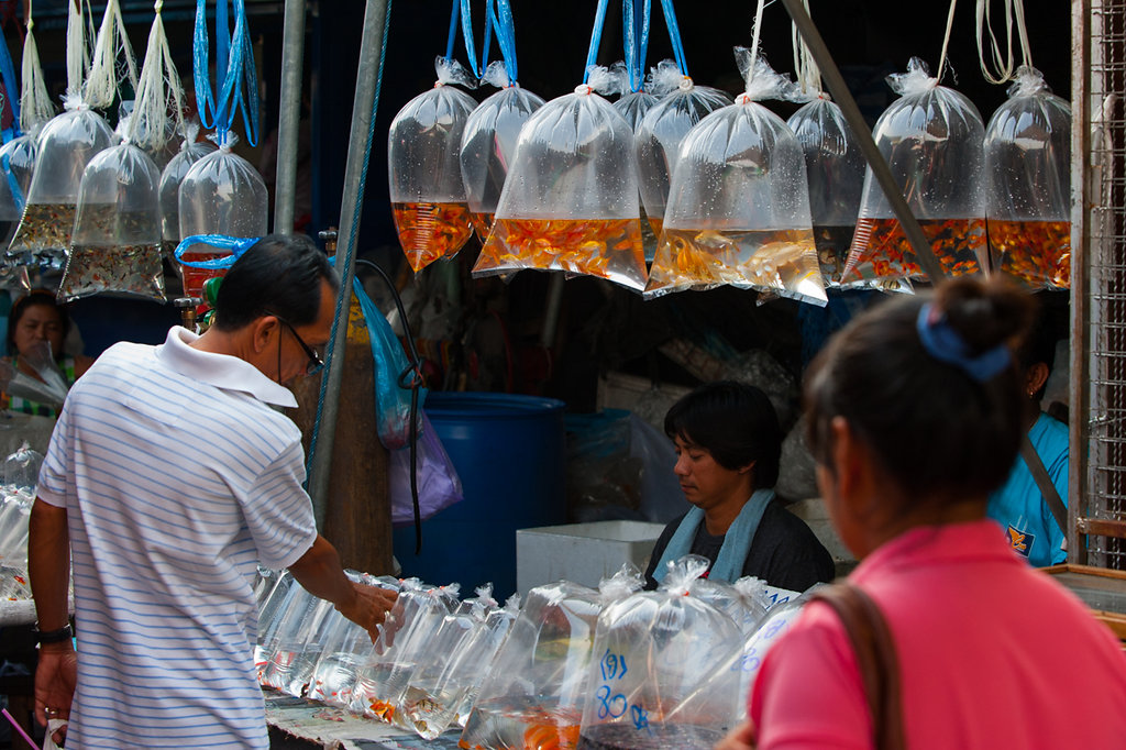 Bangkok - Chatuchak Weekend Market