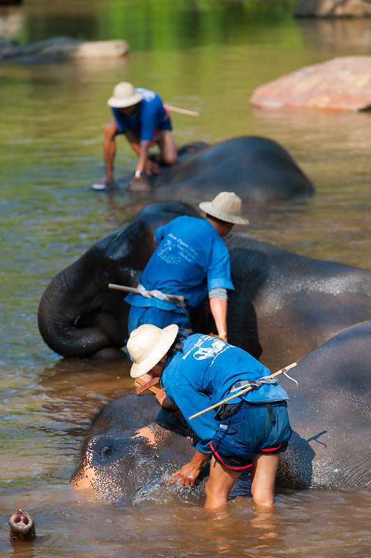 Chiang Mai