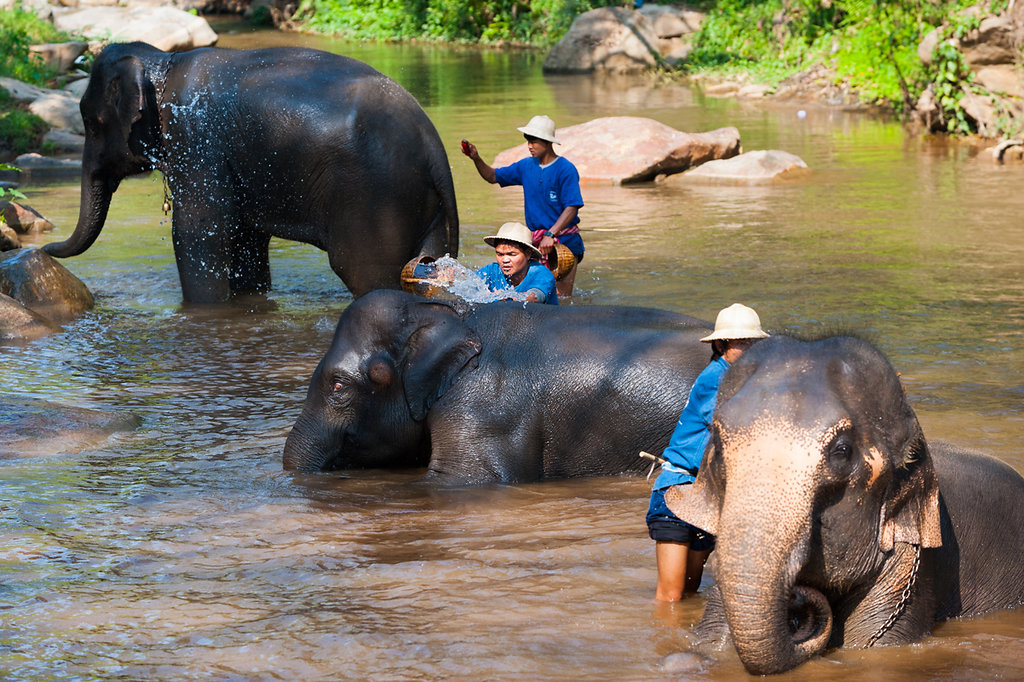 Chiang Mai